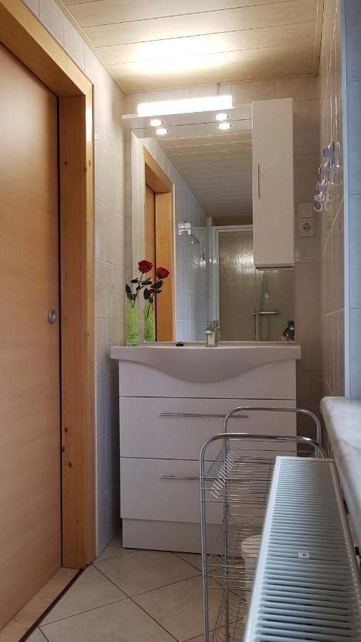Oberweißbach Ferienwohnung Berndt מראה חיצוני תמונה