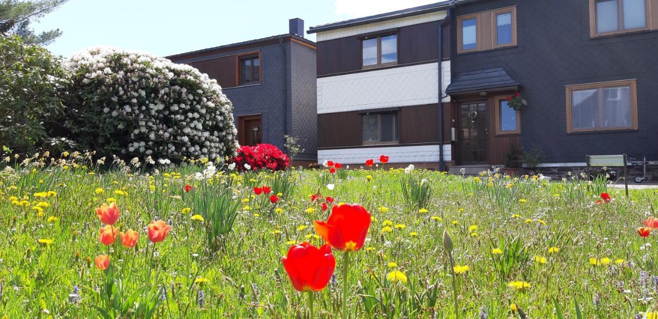 Oberweißbach Ferienwohnung Berndt מראה חיצוני תמונה