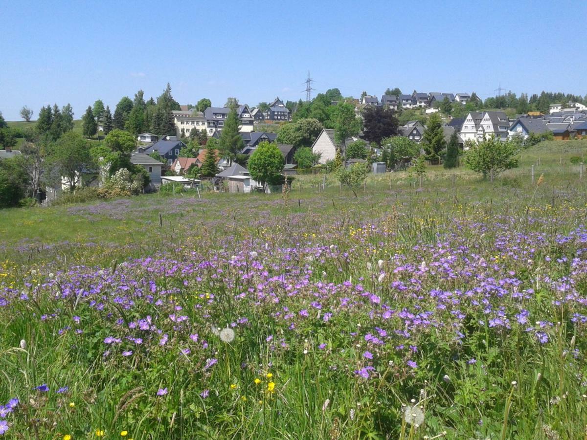 Oberweißbach Ferienwohnung Berndt מראה חיצוני תמונה
